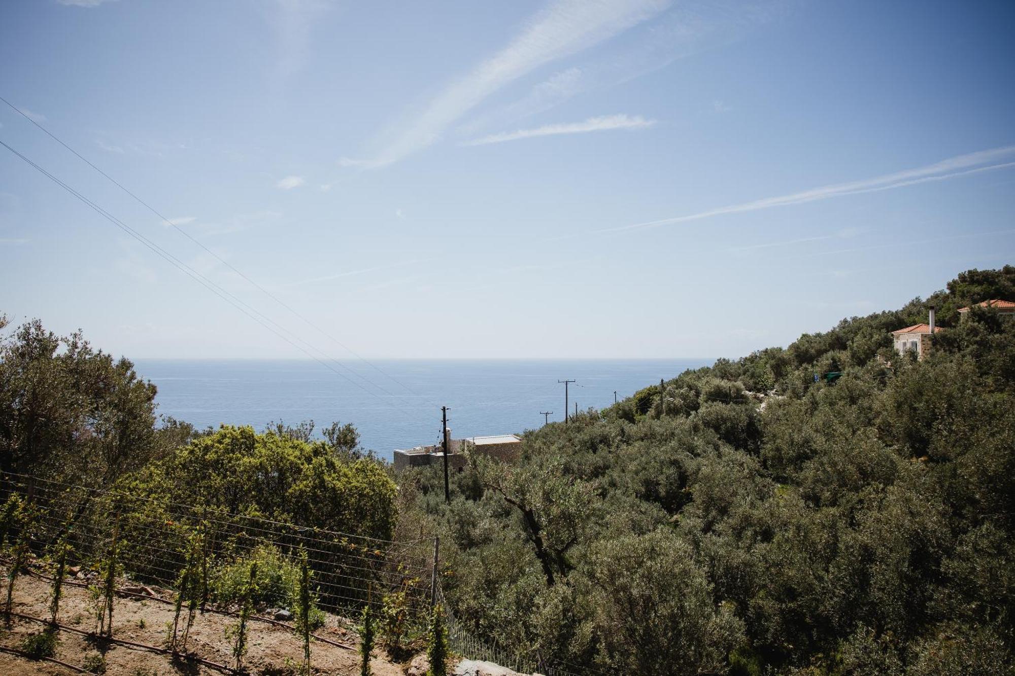 Villa Five Olive Dream Trip Plomari Esterno foto