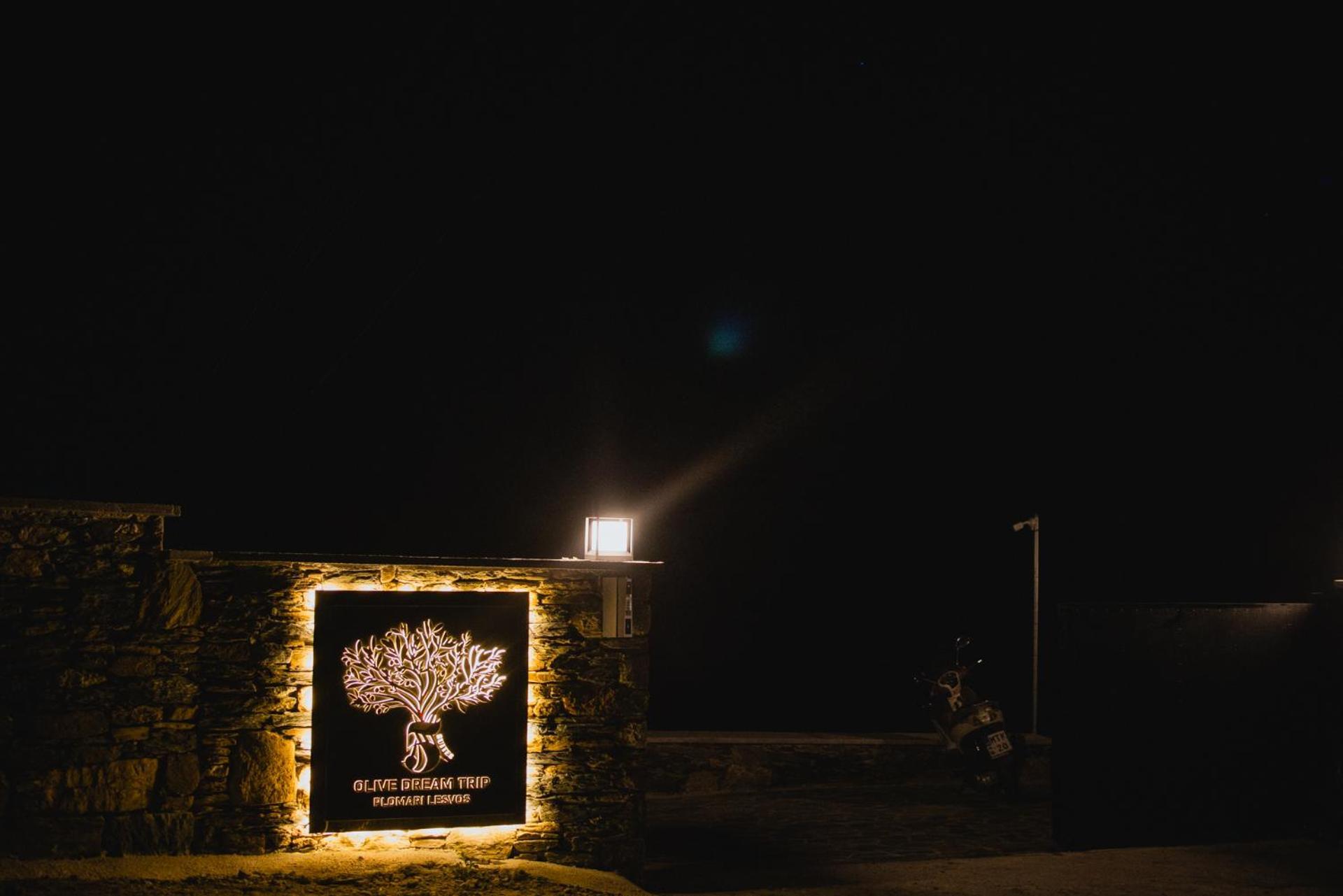 Villa Five Olive Dream Trip Plomari Esterno foto