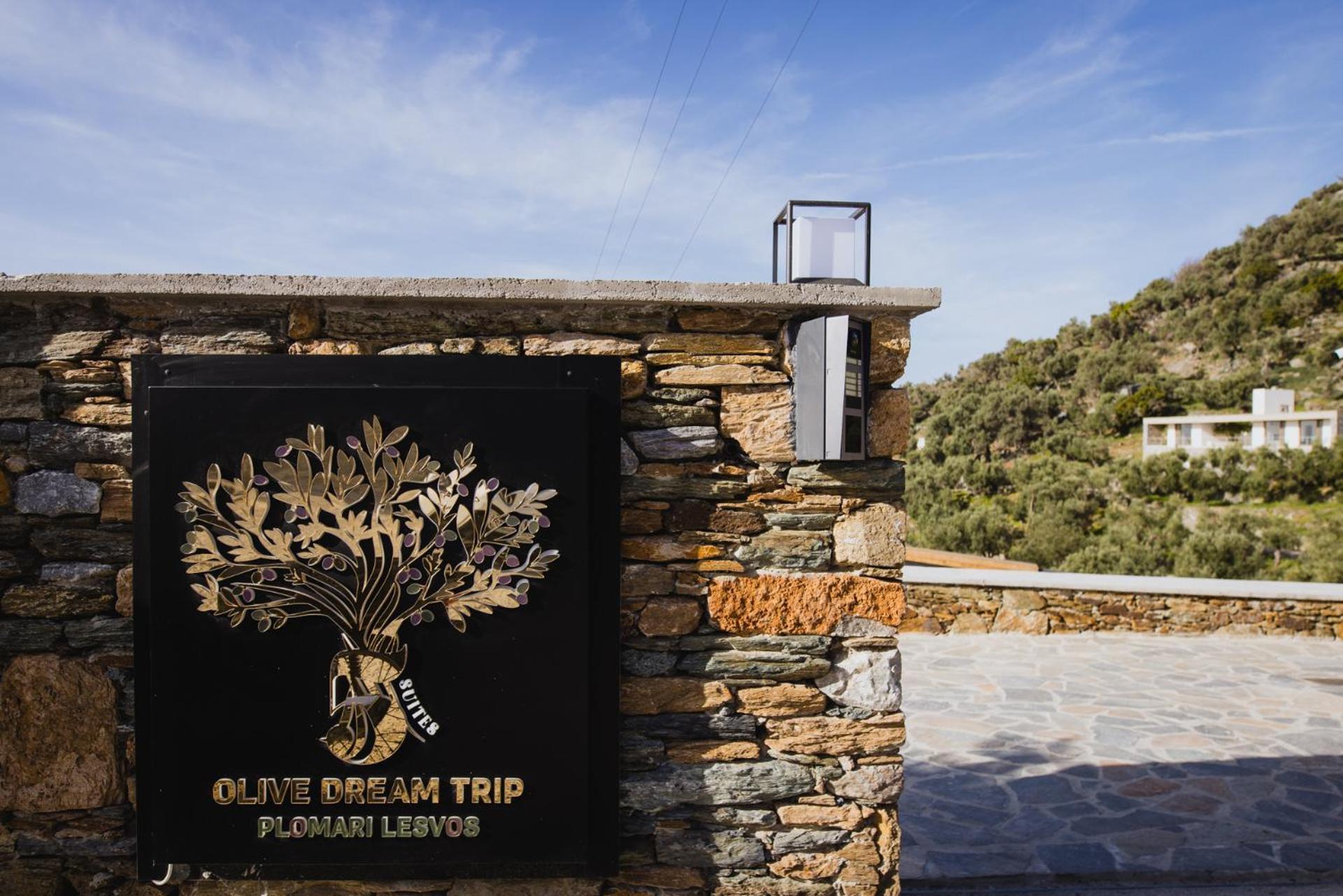 Villa Five Olive Dream Trip Plomari Esterno foto
