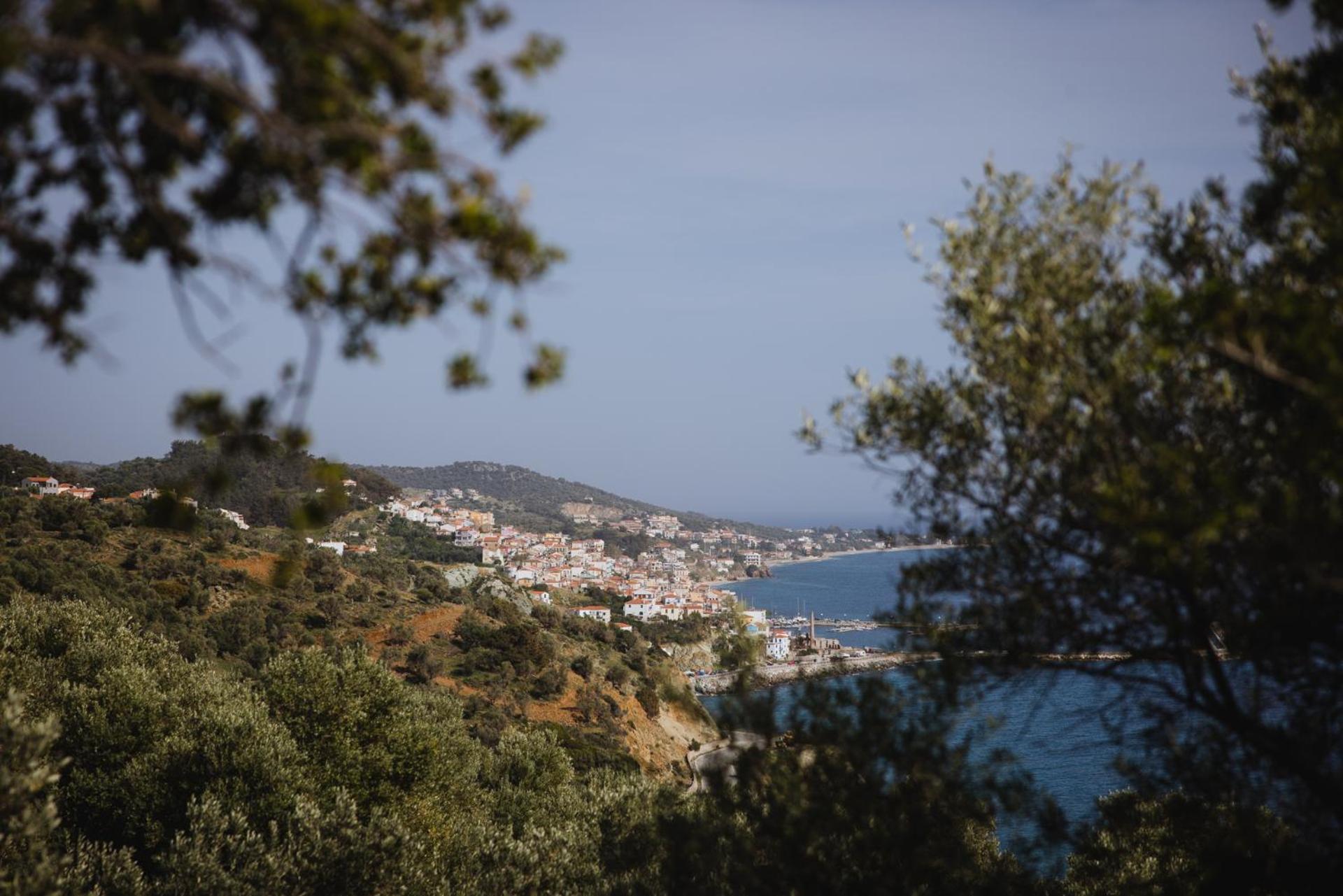 Villa Five Olive Dream Trip Plomari Esterno foto