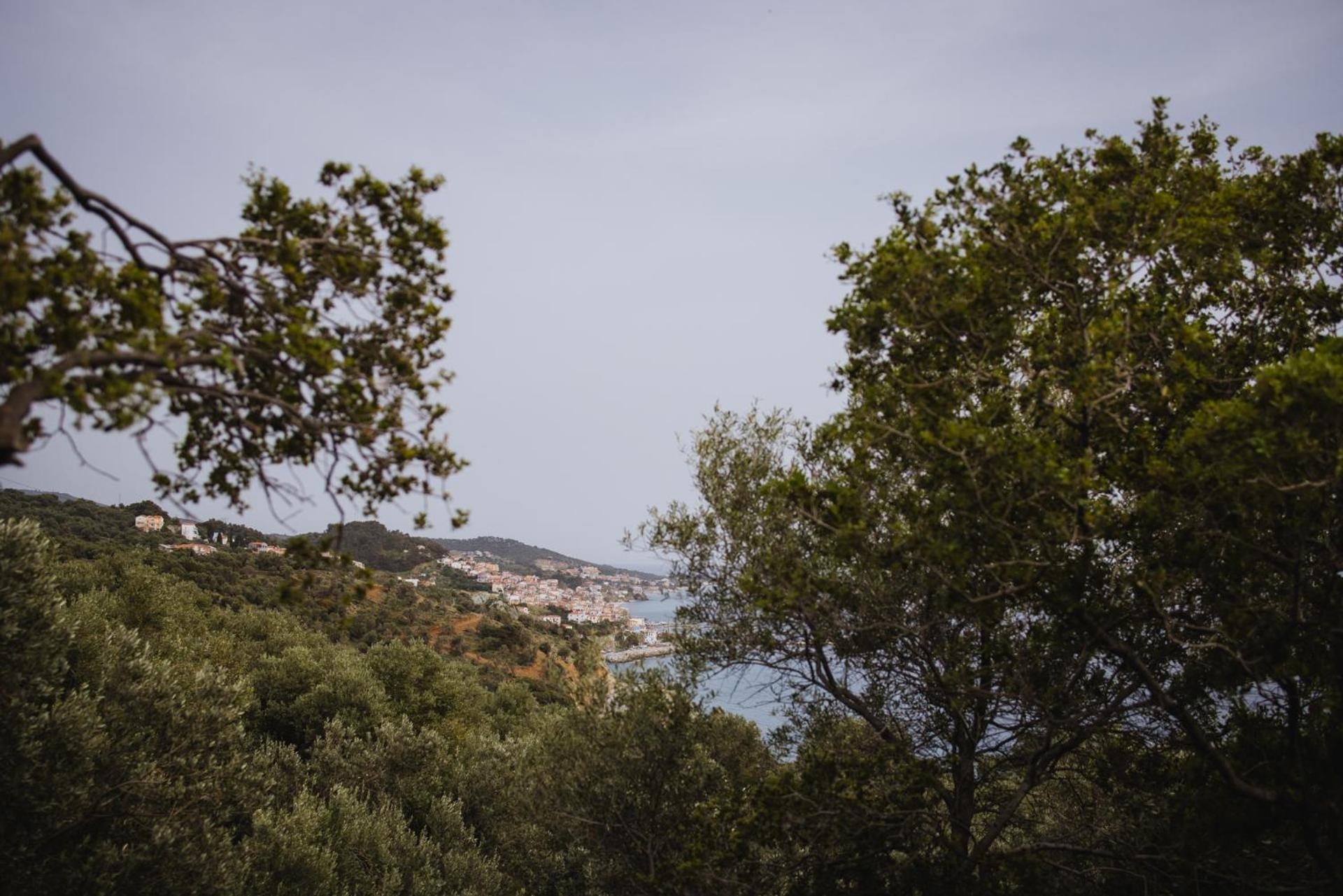 Villa Five Olive Dream Trip Plomari Esterno foto
